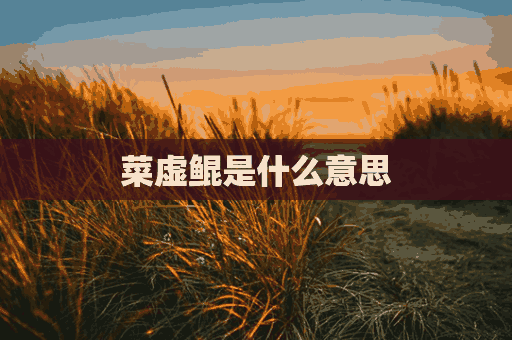 菜虚鲲是什么意思